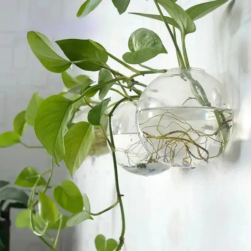 Wall Mounted Glass Planter without Plants, Round Glass Vase for Wall Decor, Wall Ornaments, Home Office Decoration Supplies, Hanging Planters