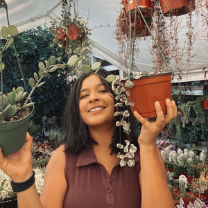 DoseofSucculents