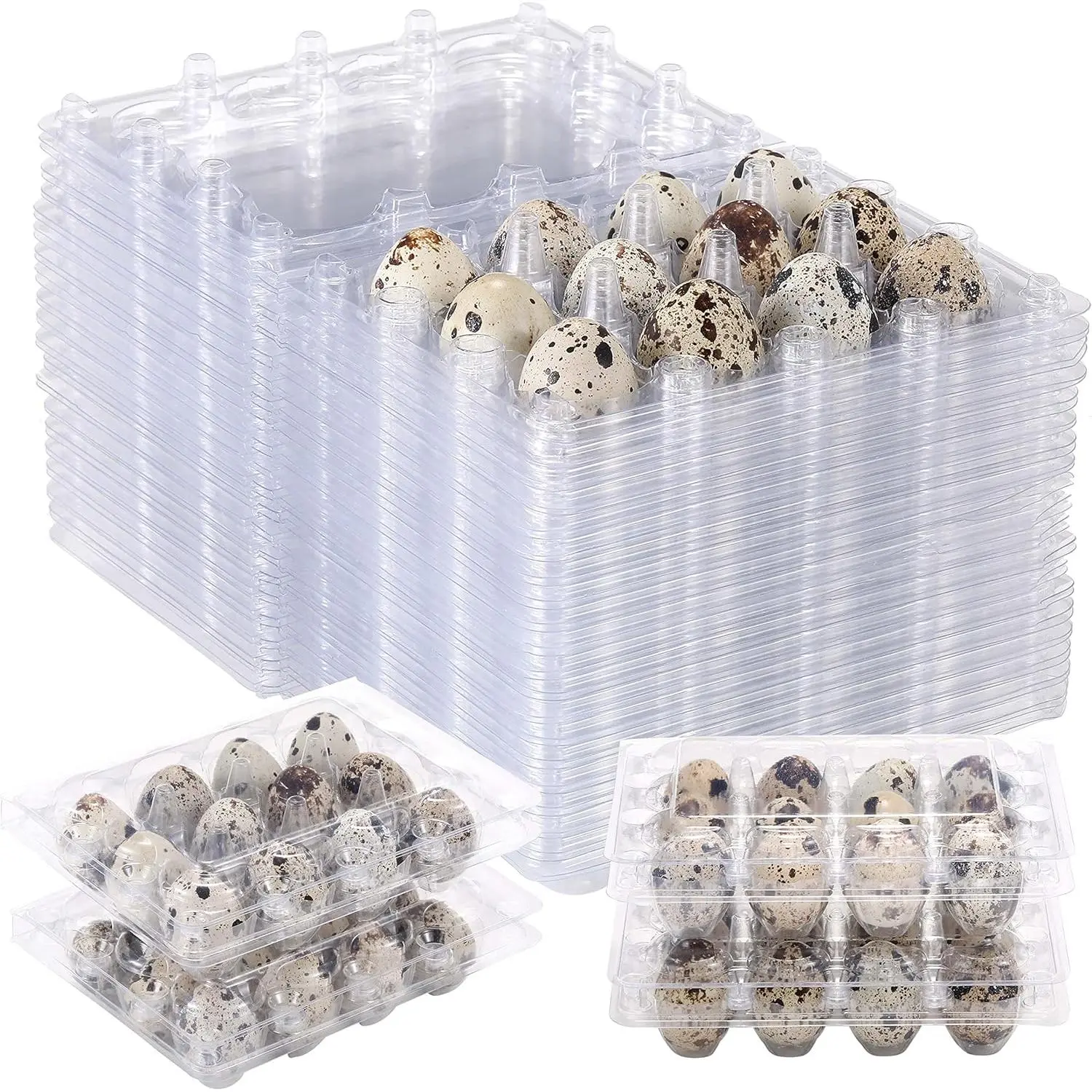 60 Pcs Quail Egg Cartons Square Dozen Egg Boxes Classical 3x4 Style Holds Up to 12 Count Small Quail Eggs Pigeon Eggs Bulk Quail Egg Tray Container for Refrigerator