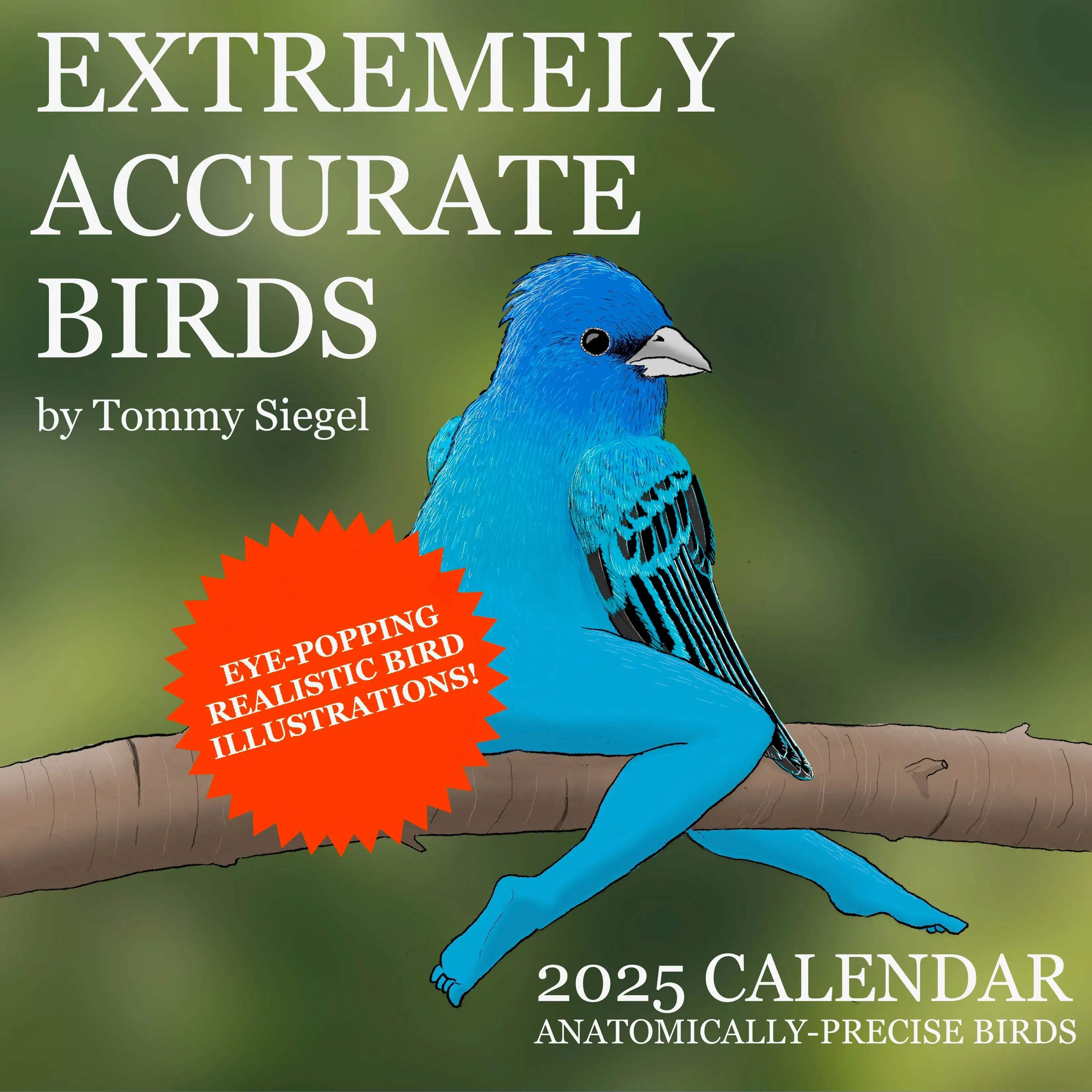 2025 Calendar of Extremely Accurate Birds wall calendar office decor calendar