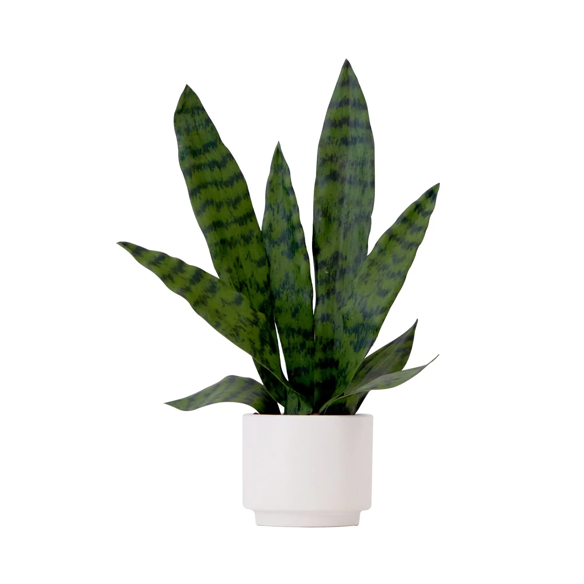 16" Lifelike Artificial Sansevieria Snake Plant with Bendable Branches & Wire, Decorative Planter - Decorative Flowers, Plant Decor, Lifelike Leaves, Office Living Room Tabletop Home Decor