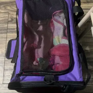 review image 6