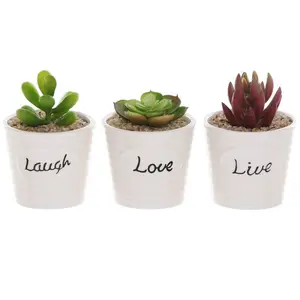White Ceramic Ribbed Design LIVE LAUGH LOVE Expression Round Mini Planters , Set of 3
