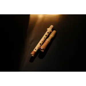 Сollapsible Flute (high-quality handmade)