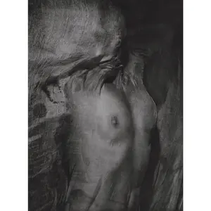 Erwin Blumenfeld, Composition, Erwin Blumenfeld, Electa Editrice Portfolios, Limited Edition Héliogravure