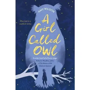 USED-Girl Called Owl by Amy Wilson (Paperback)