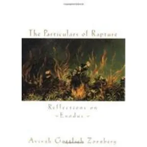 USED-The Particulars of Rapture: Reflections on Exodus by Avivah Gottlieb Zornberg (Hardcover)