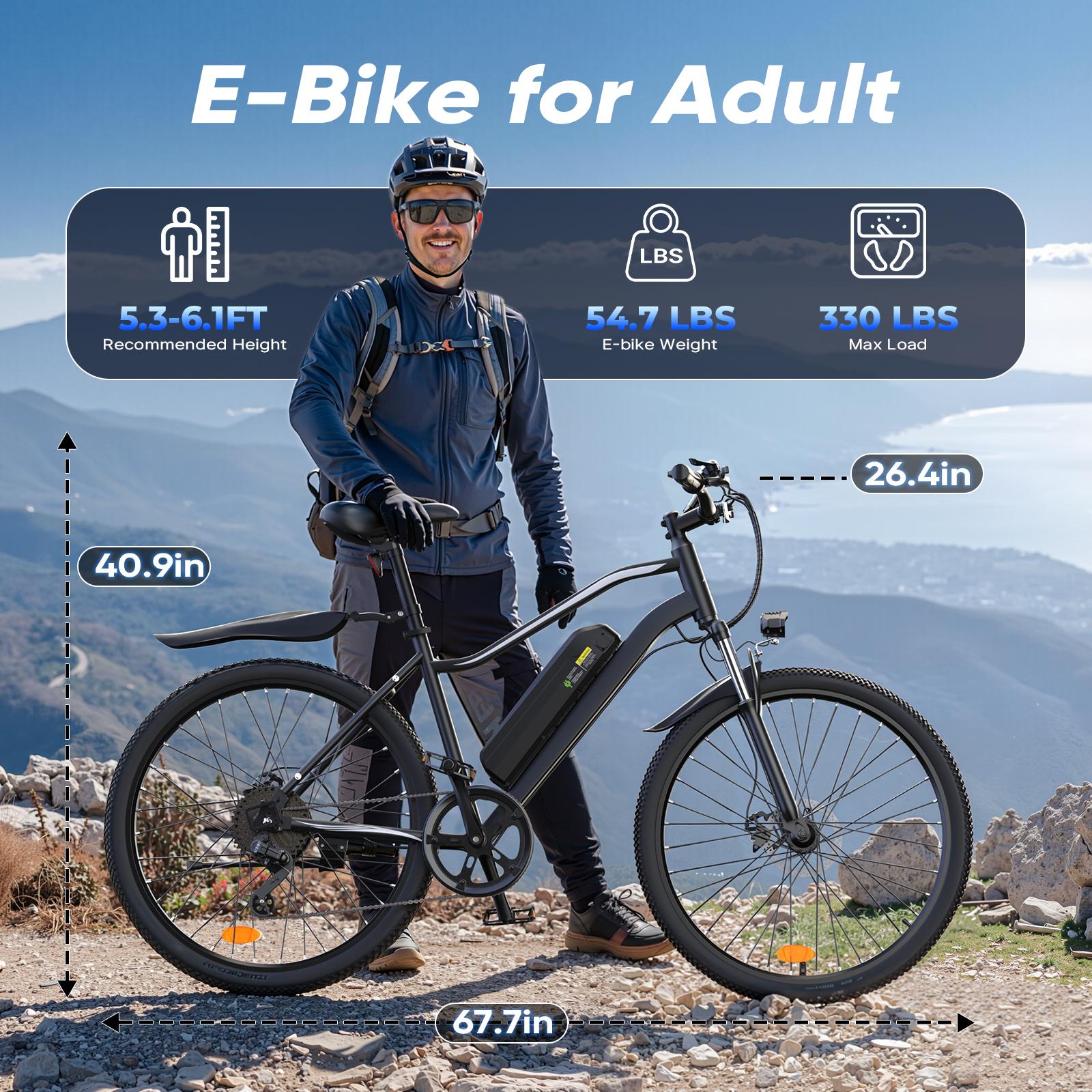 Adult Electric Bicycle 750W | 60 Miles Long Range, Removable Battery, 5 Speed, Shock Absorber