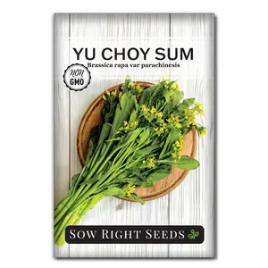 Yu Choy Sum Seeds