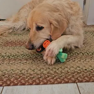 Apasiri Aggressive Chewer Dog Toys, Durable Carrot Leaf Design for Teeth Cleaning & Mental Stimulation