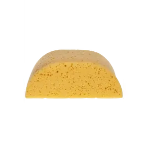 HADERA HUMP BACK SPONGE