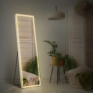 CONCETTA 2 size Rectangle LED Full Length Mirror, Full Body Standing Floor Mirror, 3 Color Modes for Bedroom, Cloakroom