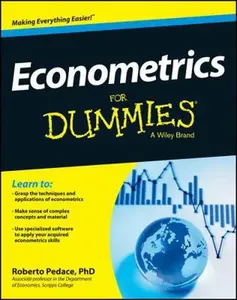 USED-Econometrics For Dummies by Pedace, Roberto (Paperback)