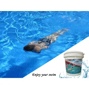 5 lb Cleaning Tools for Swimming Pools & Spas - Essential for Pool Safety & Cleanliness - Household Essentials