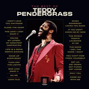 Teddy Pendergrass - The Best of Teddy Pendergrass NEW Vinyl Record 194398605715
