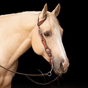 Schneiders Two-Tone Turquoise Concho One Ear Ranch Headstall