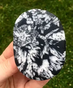 Chrysanthemum Palm Stone - Polished Stone Oval