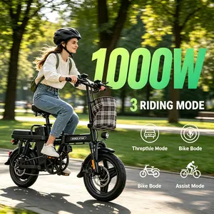 14 Inch Z1 Foldable Electric Bike, 1000W Motor & 48V 15Ah Removable Battery Up to 48 Miles Long Range, Dual Disc Braking System LED Display, Portable Folding Frame with Remote Lock for Urban Commute & Outdoor Riding
