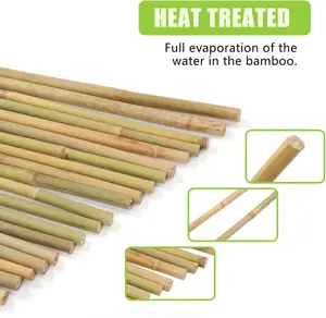 Natural Bamboo Plant Stakes for Tomatoes, Beans, Flowers, Potted, Climbing Plants