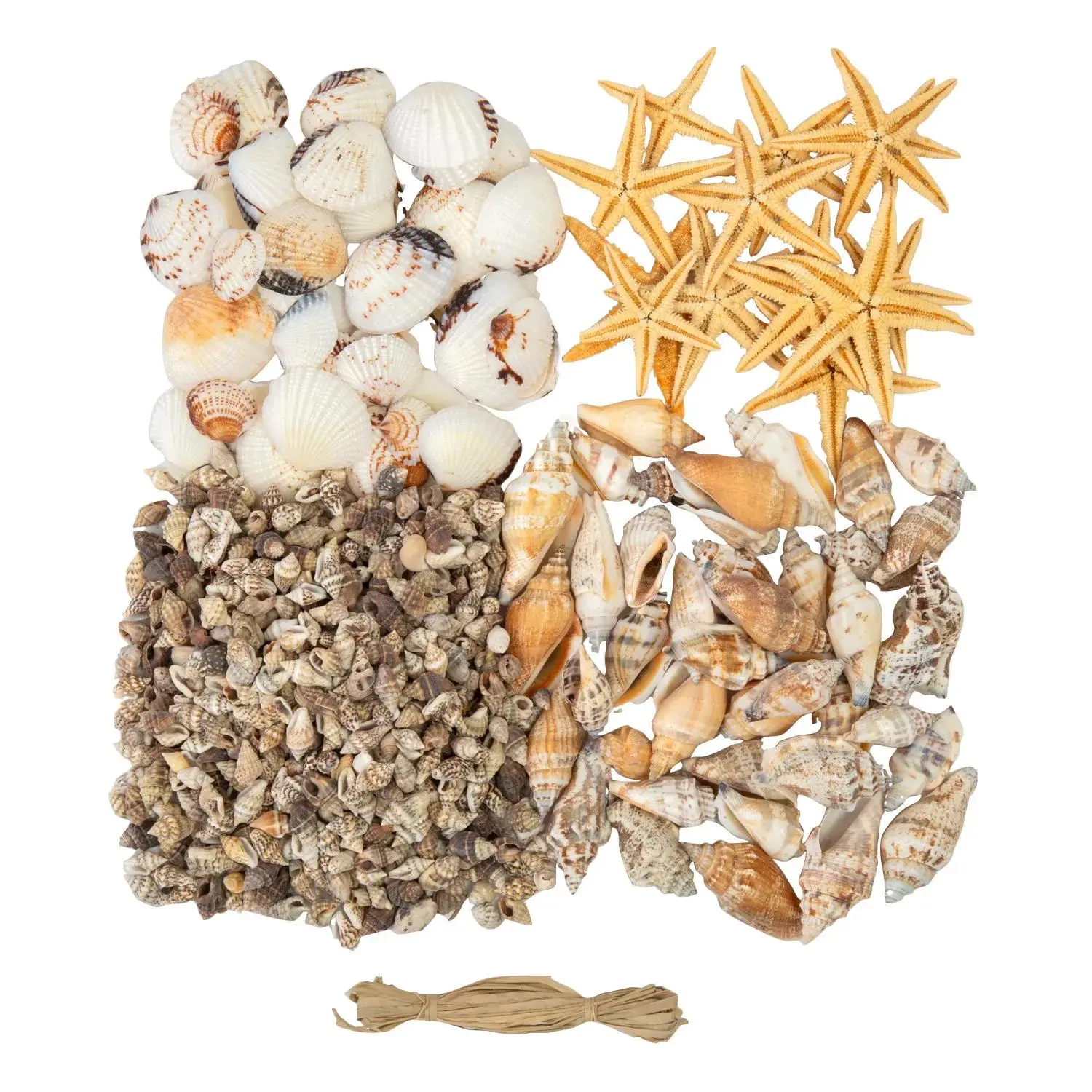 33-Piece Natural Look Sea Craft Kit, DIY Shell Mix & Raffia Frame Kit for Beading & Jewelry Making, Sea Crafts