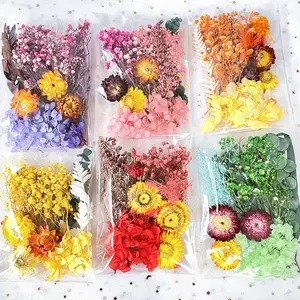 Dried flower material kit in bags, preserved dried flowers for painting, fan cards, handmade small bouquets, natural real flowers for resin crafts