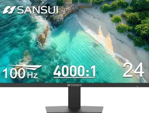 24 inch 100Hz Computer Monitor