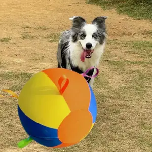 Pet Swimming Interactive Toy Ball, Dog Training Play Toy, Suitable for Large Medium Small Dogs Indoor Outdoor Self-Play