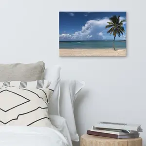 Palm Tree Original Photography Canvas