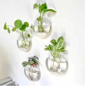 Luxury Wall Hanging Glass Terrarium Planter Set, Self-Watering Hydroponic Vase for Home & Office Decor