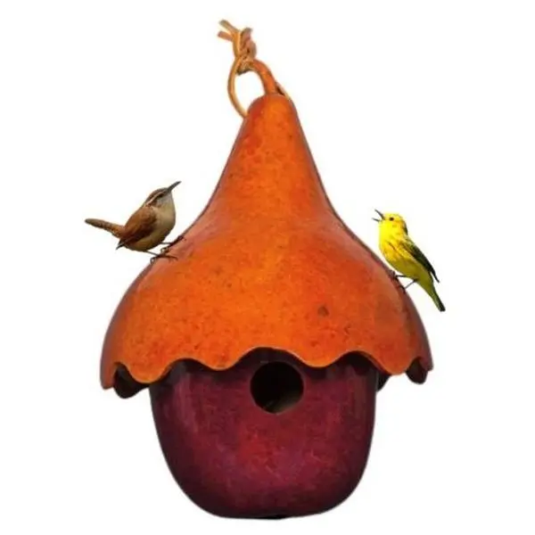 APPLE with HAT BIRDHOUSE - Amish Handmade 2 Gourd Bird House