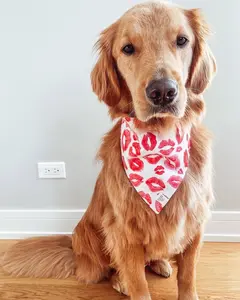 Pucker Up Dog Bandana