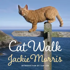 USED-Cat Walk by Morris, Jackie (Hardcover)