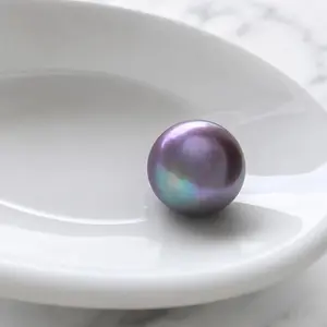 Velvet Edison Clam (9-11mm velvet purple tone)