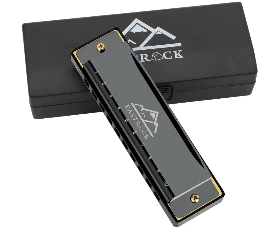 EastRock Blues Harmonica Mouth Organ 10 Hole C Key with Case, Diatonic Harmonica for Professional Player, Beginner, Students gifts, Adult, Friends, Gift Black