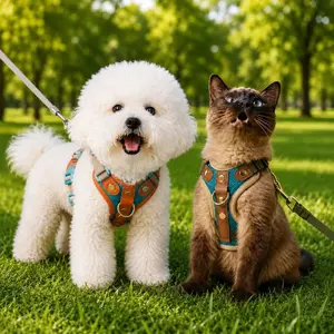Soft Lightweight No-Pull Harness Set for Small Dogs & Cats | Walk & Car Safety Bundle