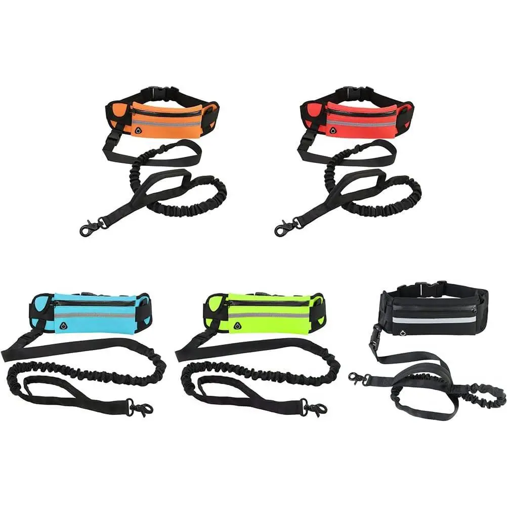 Hands Free Dog Leash with Waist Pack – Retractable Bungee Leash for Running & Hiking with Dual Padded Handles – Adjustable Waist Belt for Medium/Large Dogs Walking Harness