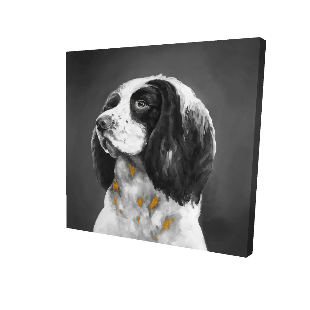 Begin Home Decor 2080-2424-AN307 24 x 24 in. Gray Bedroom Canvas - English Springer Spaniel Dog Decor