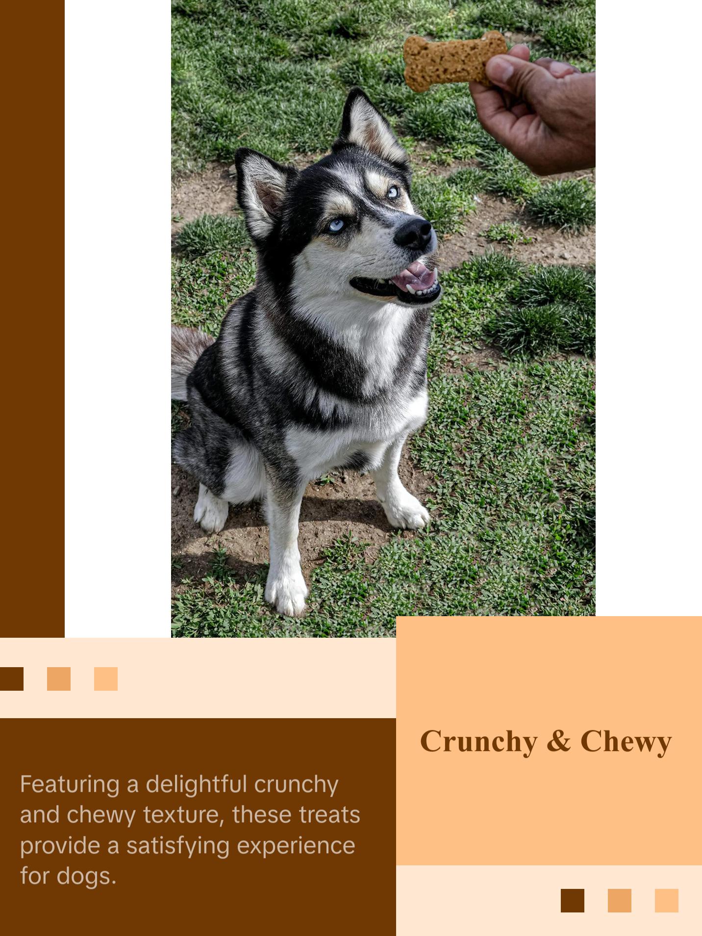 Peanuts Delicious Dog Treats Made in USA All Natural Oven Baked Biscuits