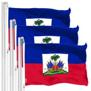G128 3 Pack: Haiti Haitian Flag | 3x5 Ft | LiteWeave Pro Series Printed 150D Polyester | Country Flag, Indoor/Outdoor, Vibrant Colors, Brass Grommets, Thicker and More Durable Than 100D 75D Polyester