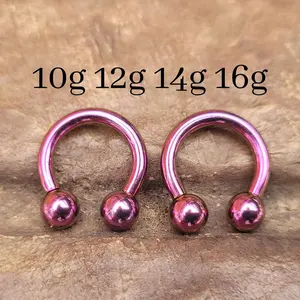 CHOOSE 2 Purple Titanium Steel Pinchers Ear Plugs Horseshoes Gauges Septum Stretching Ring 10g 12g 14g 16g Circular Barbell big jewelry pink
