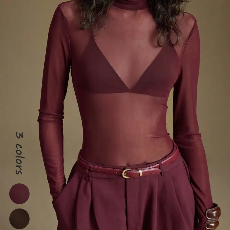 Women's Sheer Mesh Turtleneck Long Sleeve Top, Casual Chic Minimalist Sexy Slim Fit Design, Plain Pattern, All-Season Fashion Essential, Versatile Basic Layering Piece, Body Hugging Tops