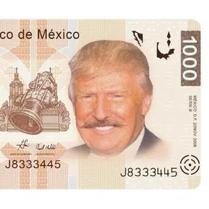 Donaldo Trumpo Themed Stickers. The Ultimate Rectangle Sticker for Anywhere & Anything | Waterproof Vinyl | Clean Minimal Tech Aesthetic | Perfect for Laptops, Phones & Everyday Use