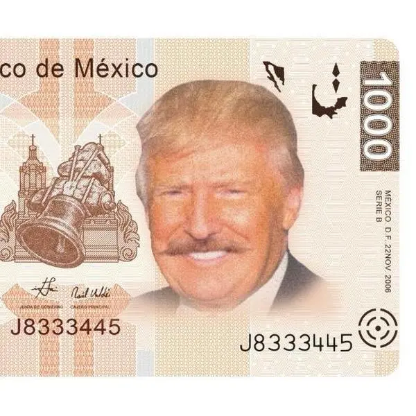 Donaldo Trumpo Themed Stickers. The Ultimate Rectangle Sticker for Anywhere & Anything | Waterproof Vinyl | Clean Minimal Tech Aesthetic | Perfect for Laptops, Phones & Everyday Use