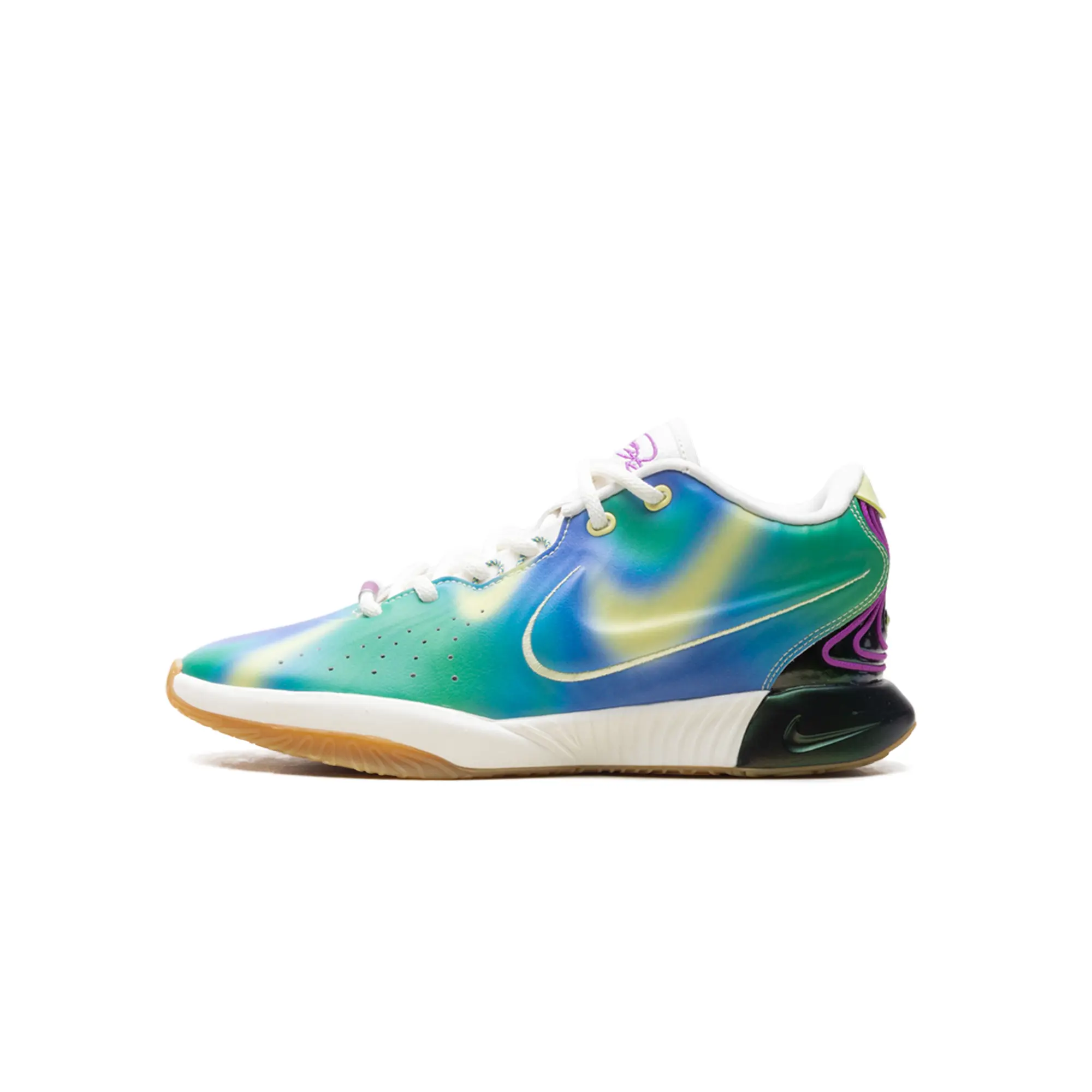 LeBron 21 GS "Multi-Color" FN4305 900