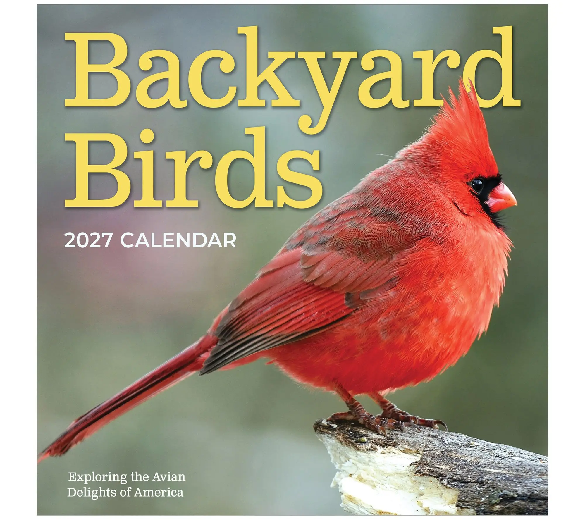 TF Publishing 2027 Backyard Birds Wall Calendar