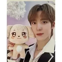25cm C