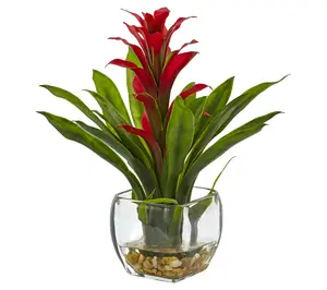 Bromeliad with Vase Arrangement by Nearly Natural