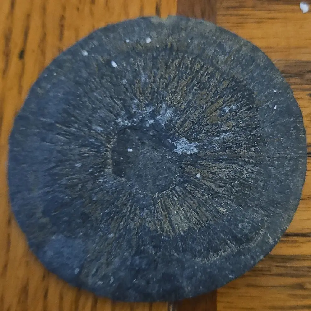 Mother Earth 350 Million Year Old Pyrite Sun from Gateway North Mine in Coulterville IL Permian Period Collectible Mineralogy Specimen