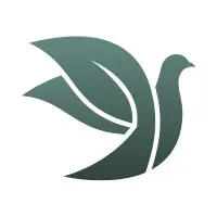 background preload poster image 