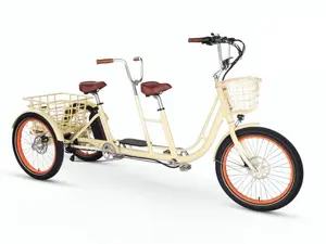 EVRYjourney  Electric Trike  Tandem 750w